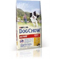 DOG CHOW Active (1 an et +)