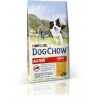 DOG CHOW Active (1 an et +)