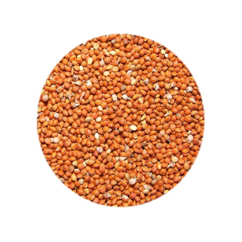 millet roux en sac de 25 kg
