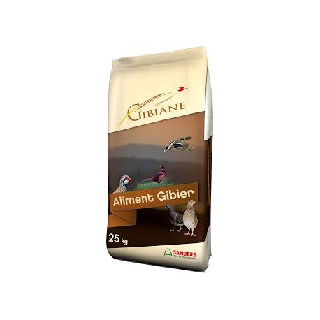 Gibian repro chauffe