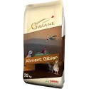 Gibian repro chauffe