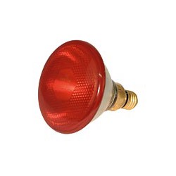 Ampoule infra rouge économique 100 W