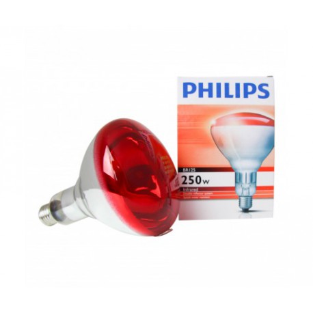 Ampoule infra rouge 250 W