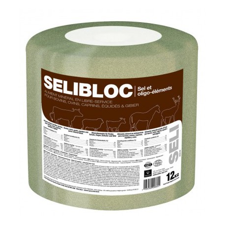 Selibloc 12 kg