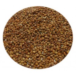 Pois dun peace 25 kg