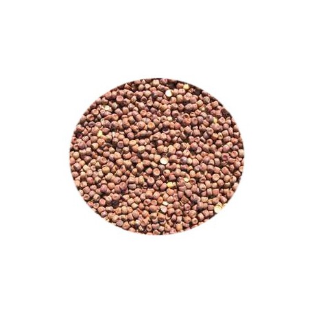 Pois Mapple Peas 25 kg