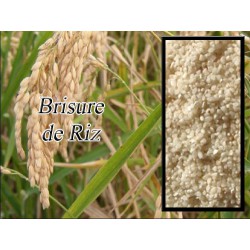Brisures de riz