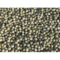 Pois vert 25kg