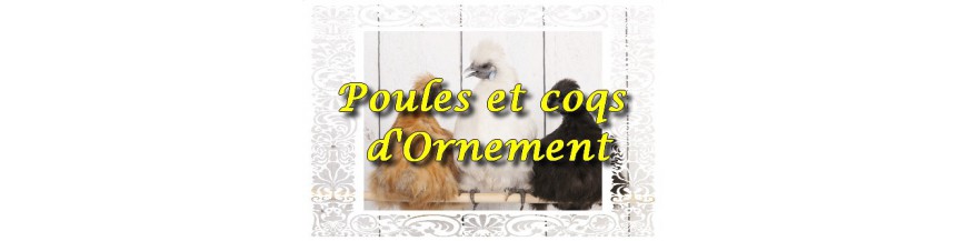 Ornements