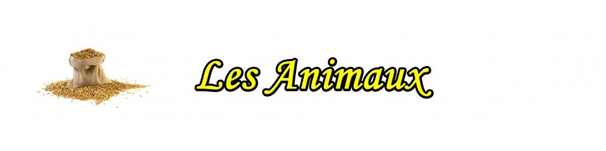 Animaux